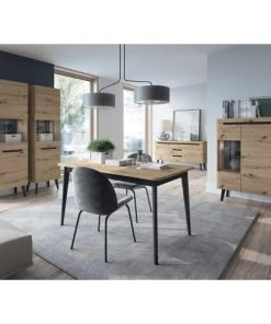 Its Vitrines Vitrine 2 Portes Naturelle Et Noire -Vaisseliers Soldes Magasin vitrine 2 portes naturelle et noire 5